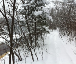 Ski Trail, Cloquet River