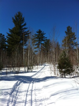 Groomed Trail