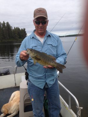 Typical Elsie smallie caught by Jay on a fly.